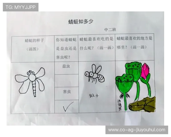从蚂蚁阵型到蜻蜓进攻看虫子世界里的足球智慧
